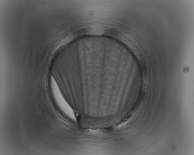 X0000097920681200803281426