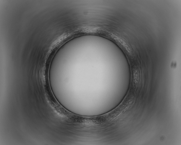 X0000097920682200803281426