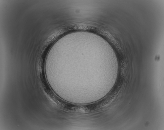 X0000097920683200803281426