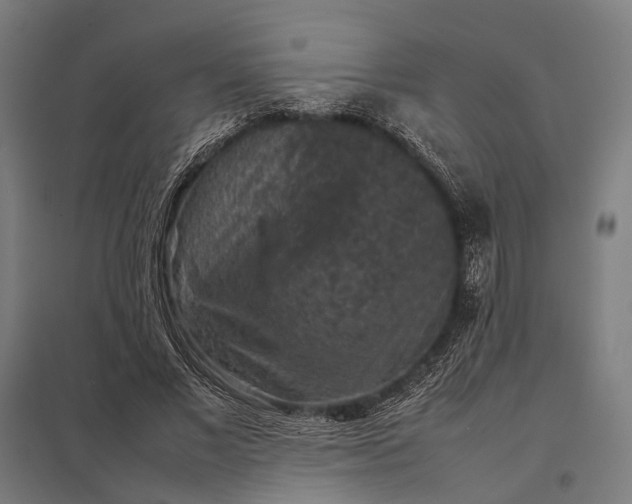 X0000097920685200803281426