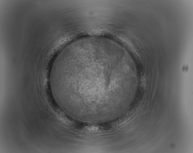 X0000097920687200803281426