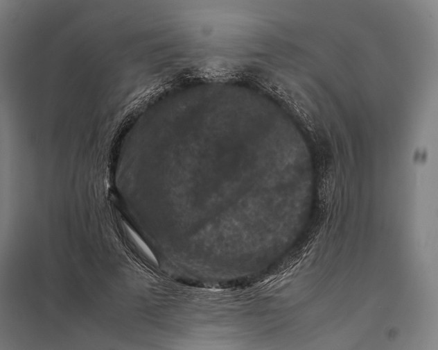 X0000097920689200803281426