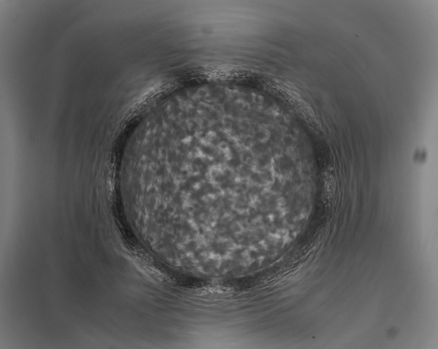 X0000097920691200803281426