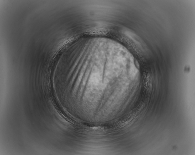 X0000097920692200803281426