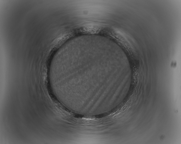 X0000097920693200803281426