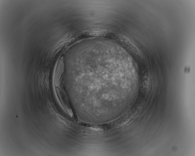 X0000097920696200803281426