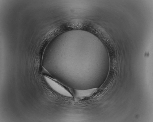 X0000097920697200803281426