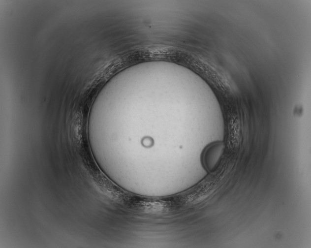 X0000097920698200803281426