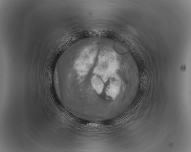 X0000097920699200803281426