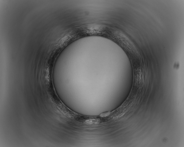 X0000097920700200803281426