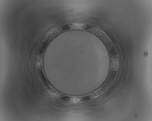 X0000097920701200803281426