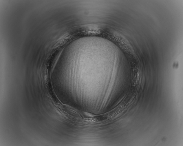 X0000097920704200803281426