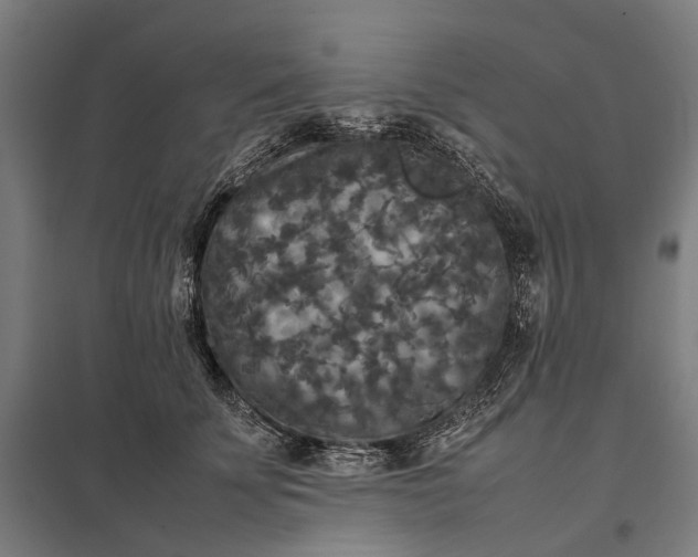 X0000097920707200803281426