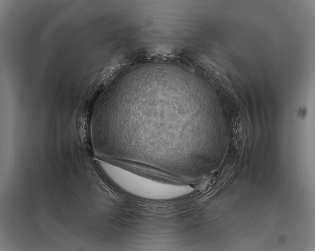 X0000097920708200803281426