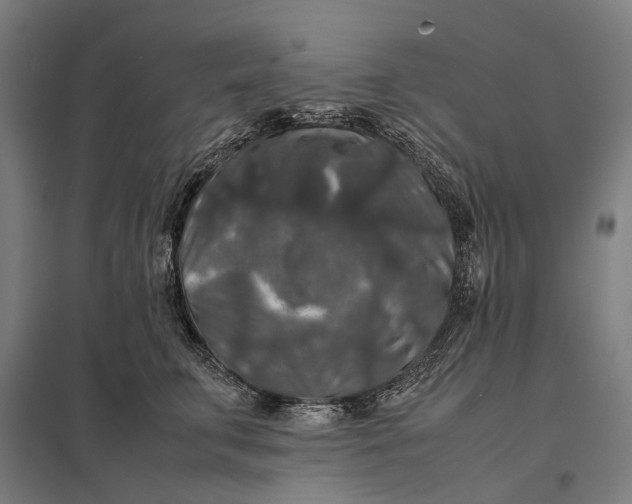 X0000097920711200803281426