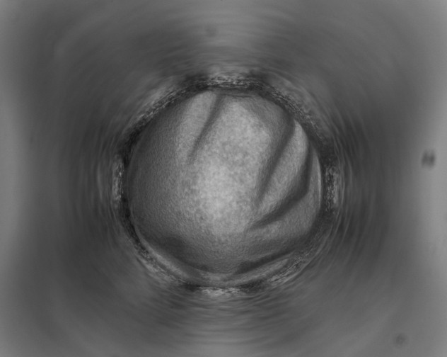 X0000097920712200803281426