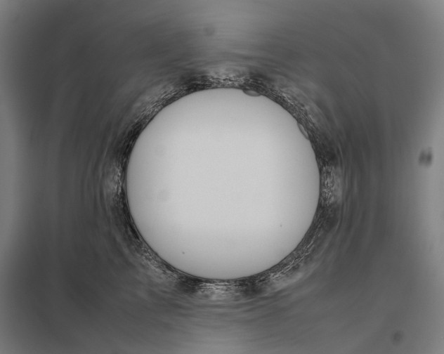 X0000097920713200803281426