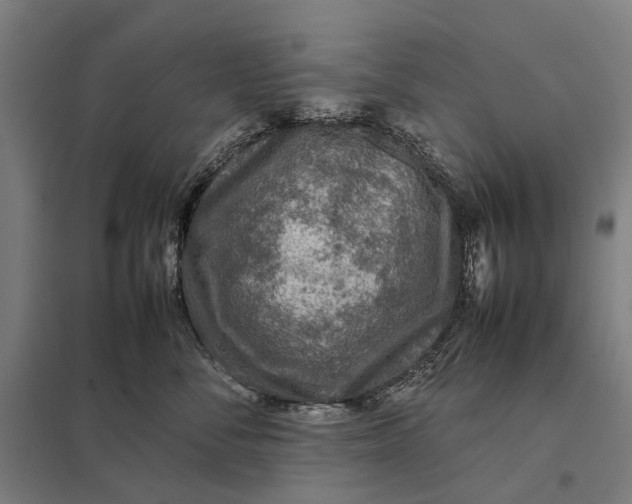 X0000097920716200803281426