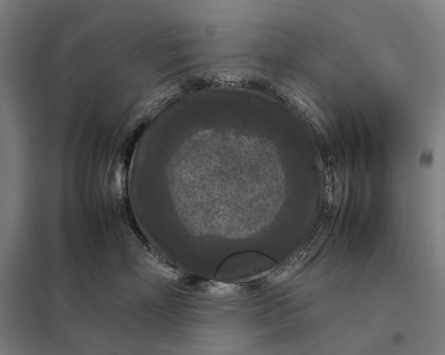 X0000097920718200803281425