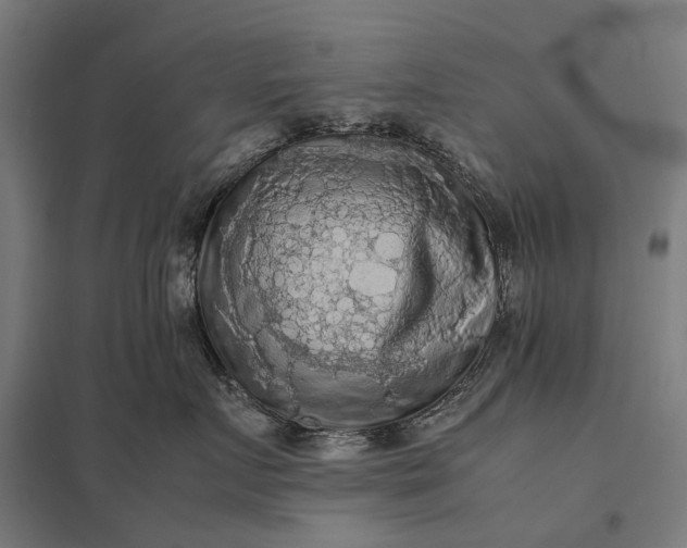 X0000097920719200803281425