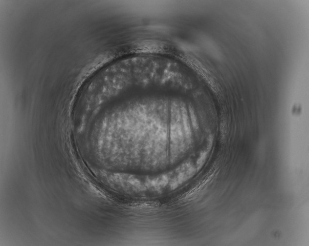 X0000097920721200803281425