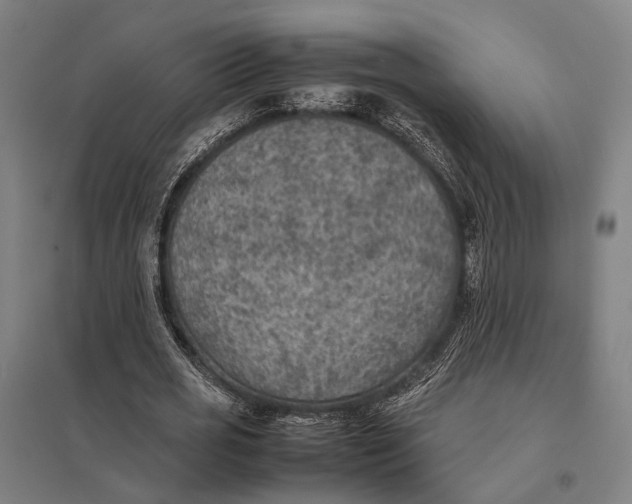 X0000097920725200803281425