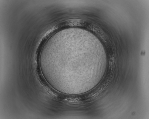 X0000097920727200803281425