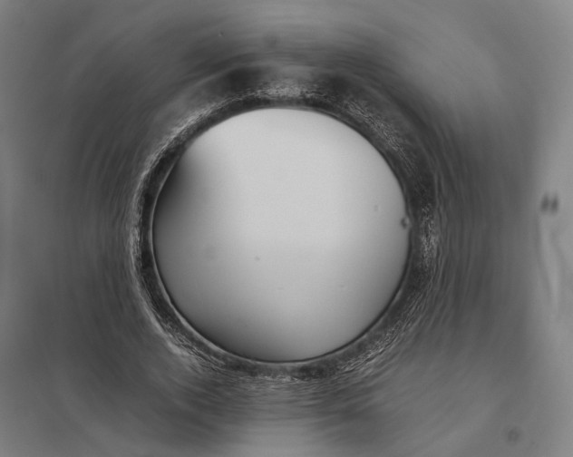 X0000097920728200803281425