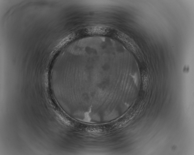 X0000097920729200803281425