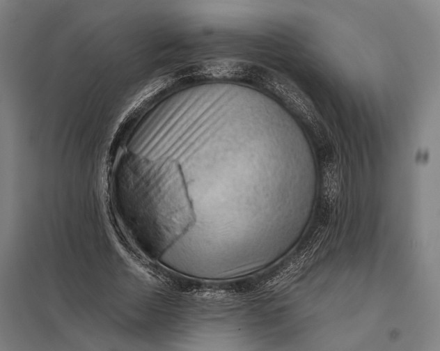 X0000097920730200803281425