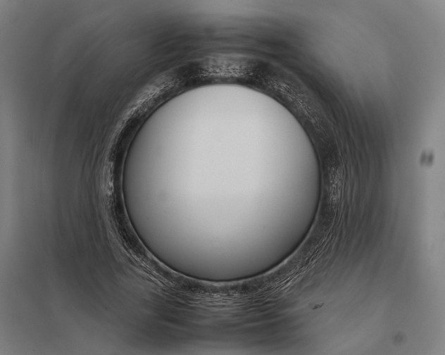 X0000097920731200803281425