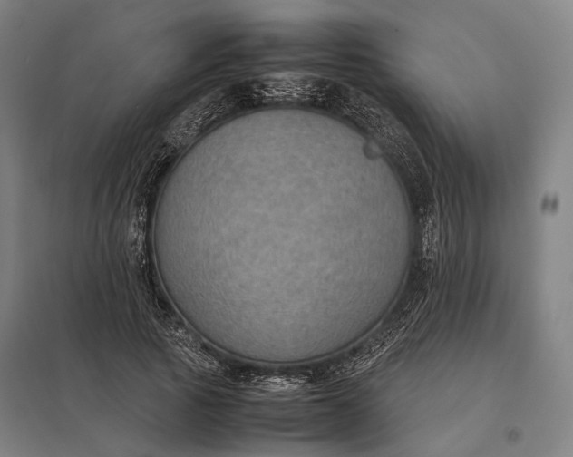 X0000097920737200803281425