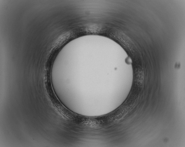 X0000097920738200803281425