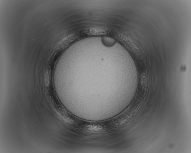 X0000097920741200803281425