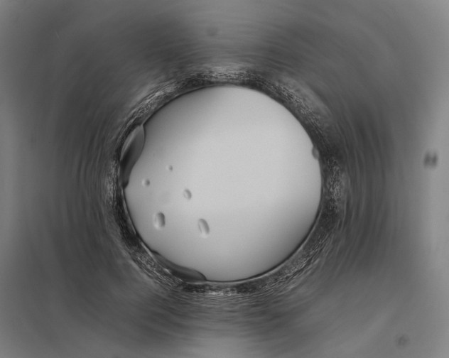 X0000097920744200803281425