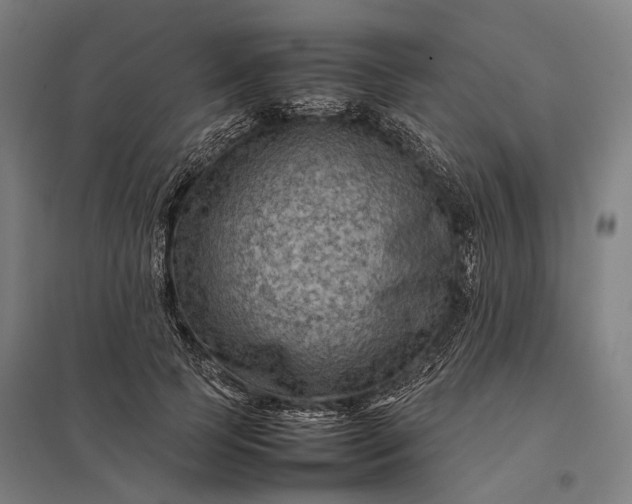 X0000097920745200803281425