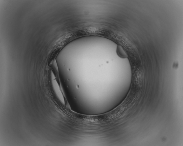 X0000097920746200803281425