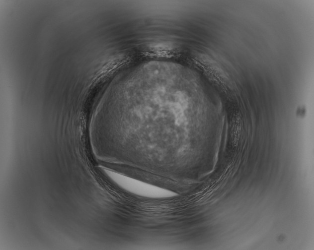 X0000097920747200803281425