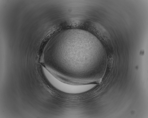 X0000097920750200803281425