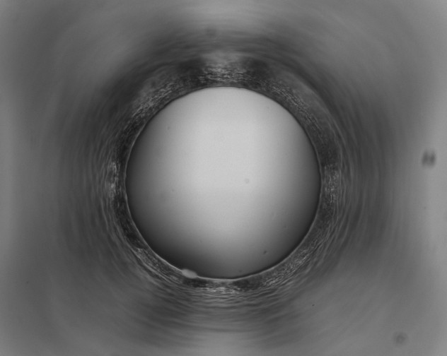 X0000097920752200803281425