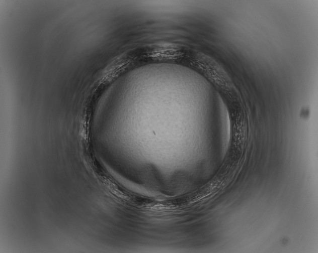 X0000097920755200803281425