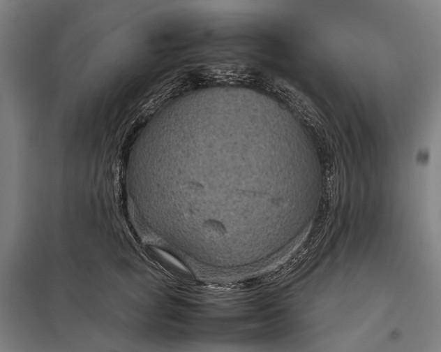 X0000097920757200803281425