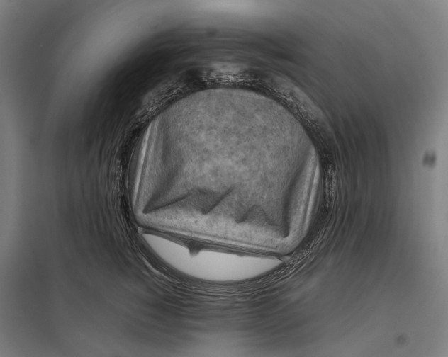 X0000097920760200803281425