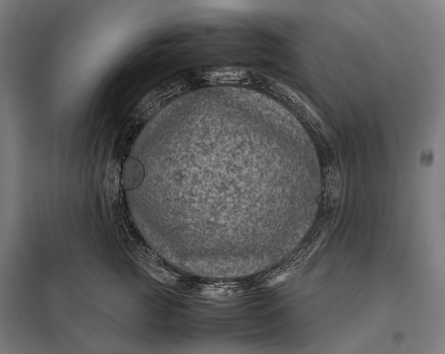 X0000097920761200803281425