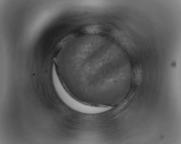 X0000097920762200803281425