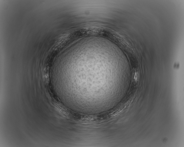 X0000097920771200803281425