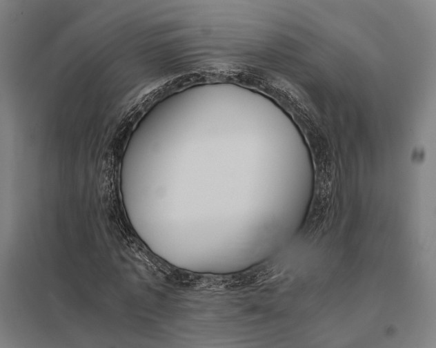 X0000097920773200803281425