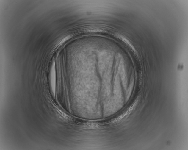 X0000097920777200803281425