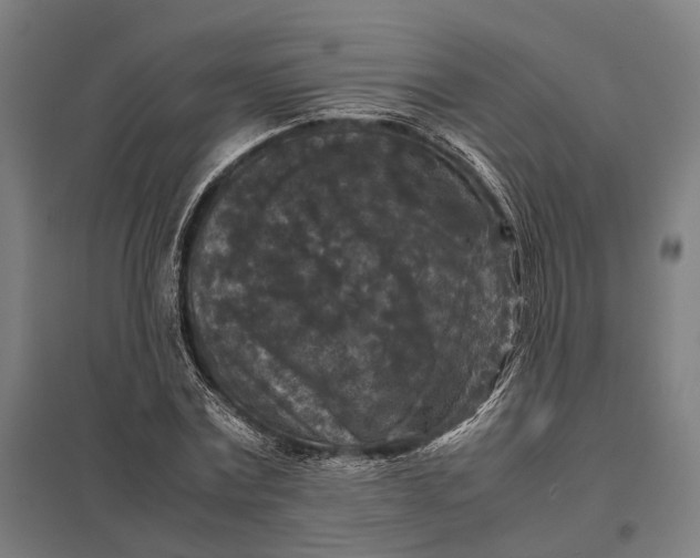 X0000097920779200803281425