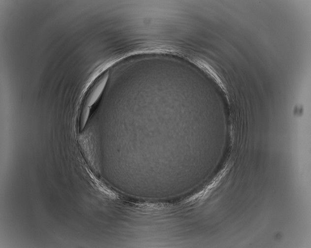 X0000097920781200803281425